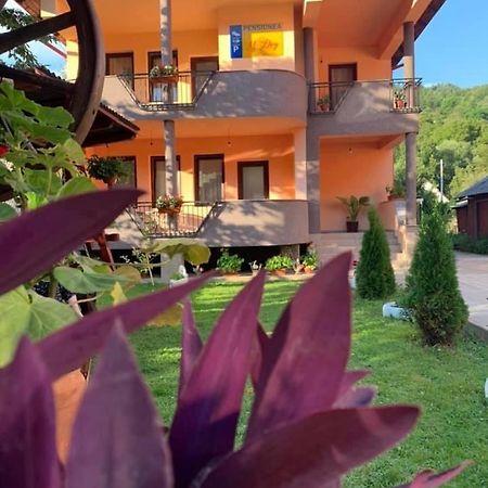 M Dey Hotel Viseu de Sus Ngoại thất bức ảnh