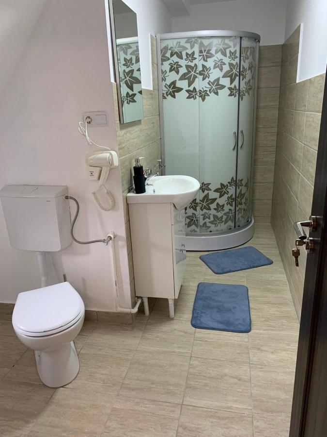 M Dey Hotel Viseu de Sus Ngoại thất bức ảnh