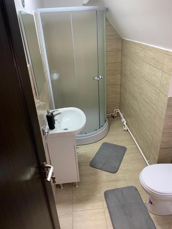 M Dey Hotel Viseu de Sus Ngoại thất bức ảnh