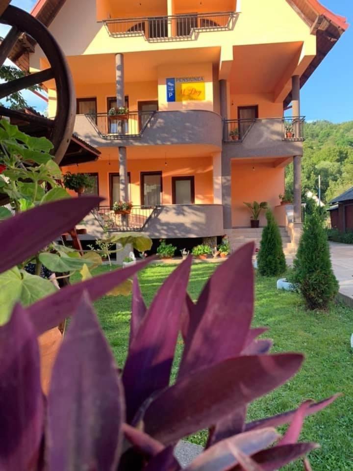 M Dey Hotel Viseu de Sus Ngoại thất bức ảnh