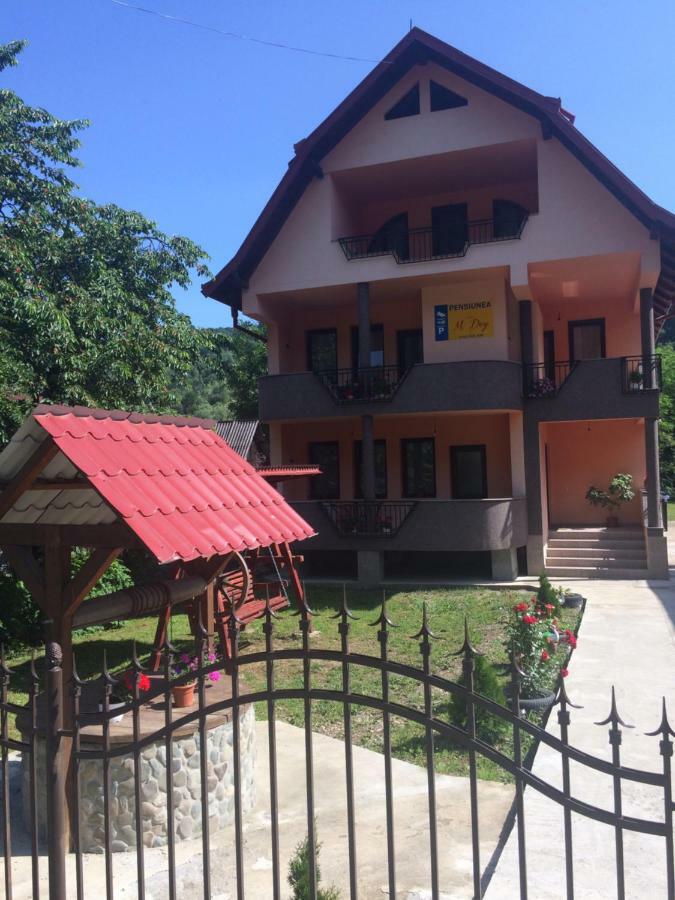 M Dey Hotel Viseu de Sus Ngoại thất bức ảnh